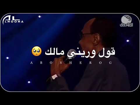 زيدان ابراهيم / اخر حب واول 🔗✋🏻