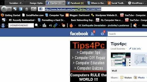 Socialize Wordpress Plugin - Add an optin form and customize