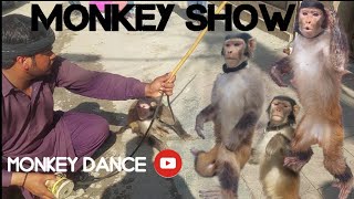 Bandar ka Khel | monkey ka tamasha | Monkey bandar video | Funny monkey