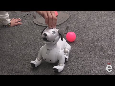 Chien interactif - Peluche robot d'empathie