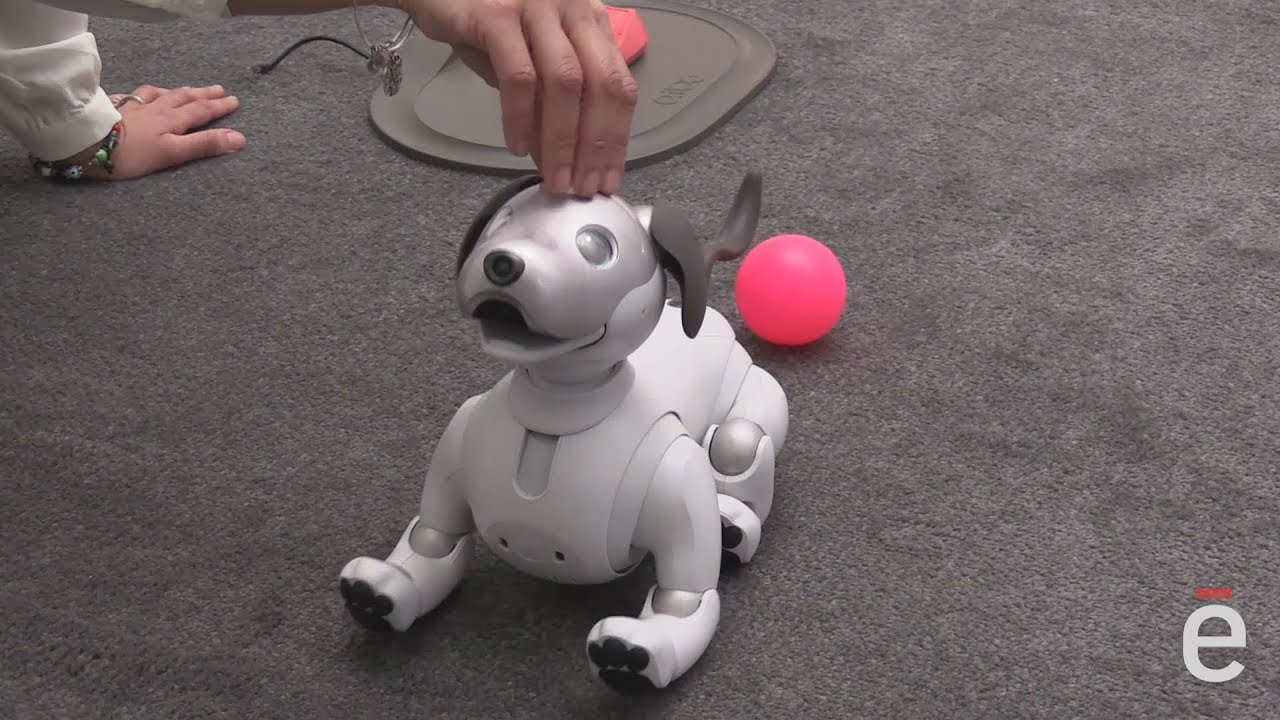 CES 2018] Sony remet sur le tapis son robot-chien Aibo et le