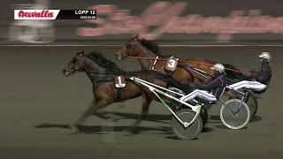 Vidéo de la course PMU COURSE 12