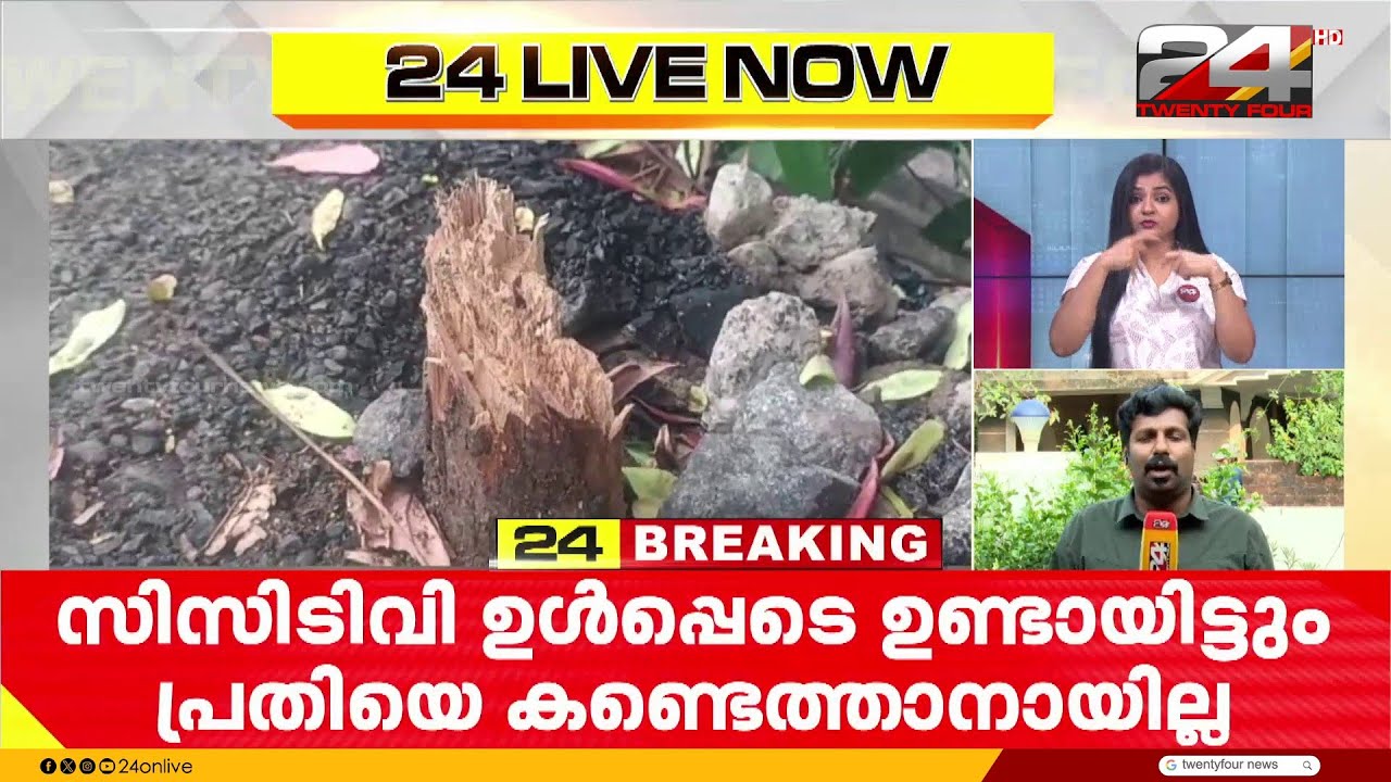 പാറശ്ശാല താലൂക്ക് ആശുപത്രിയിൽ ചന്ദനമരം മോഷണം; സിസിടിവി ഉണ്ടായിട്ടും പ്രതികൾ 'അദൃശ്യർ'!