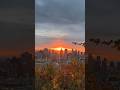 Sunrise 🇨🇦 Mont Royal #sunrise #beautifulnature #shortvideo