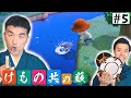 【 あつまれどうぶつの森 】＃5 すゑひろがりず、南條も参加決定！【 狂言風ゲーム実況 】【 あつ森 】