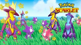 LF: Shiny Milotic, Shiny Zubat, Shiny Toxel (Low Key nature) or an