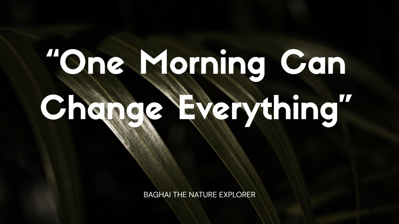 One Morning Can Change Everything | Peaceful Nature