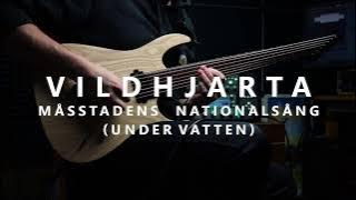 Vildhjarta - Måsstadens Nationalsång (Under Vatten) (Guitar Cover)