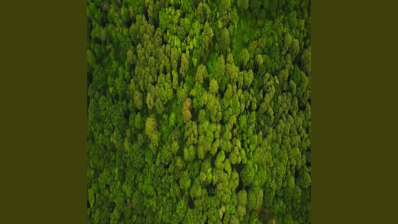 بسم الله اصوغ قصيدي