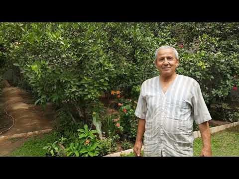 شوكة المسيح ورد خالد الخياط