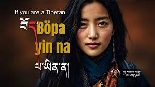 Tibetan New Song 2026 / Böpa yin na  /བོད་པ་ཡིན་ན།/ If you are a Tibetan #tibet #tibetansong #cover