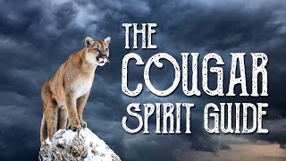 Cougar Spirit Guide  Ask the Spirit Guides Oracle  Totem Animal, Power Animal  Magical Crafting