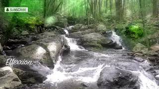 Relaxing Forest River Sounds with Relaxation Music - Soothing Music