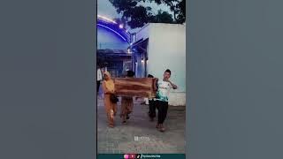 SELAMAT KEMBALI KE PENJARA SUCI || PP DARUL MA'RIFAT