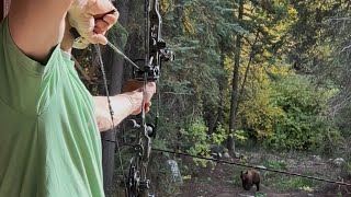 Backyard Bear Hunt 🐻🏔️🏹 2026 High Country