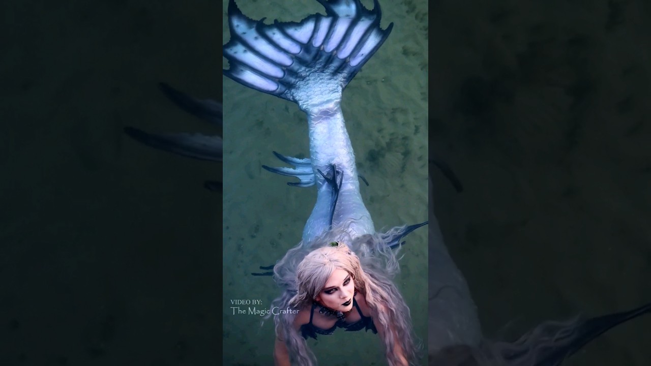 LIVE MERMAID PERFORMANCE IN LAKE MICHIGAN (a short video of Mermaid Phantom in Lake Michigan)