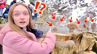 Even Japanese Snow Monkeys Bathe In Hot Springs?! *So Cute!* | Japanese British Couple Travel VLOG by ちゅーそんちゃんねるChuson Channel 258,982 views 3 months ago 12 minutes, 26 seconds