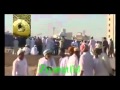 Wahabi s terrarium  in janatul baqi with proves