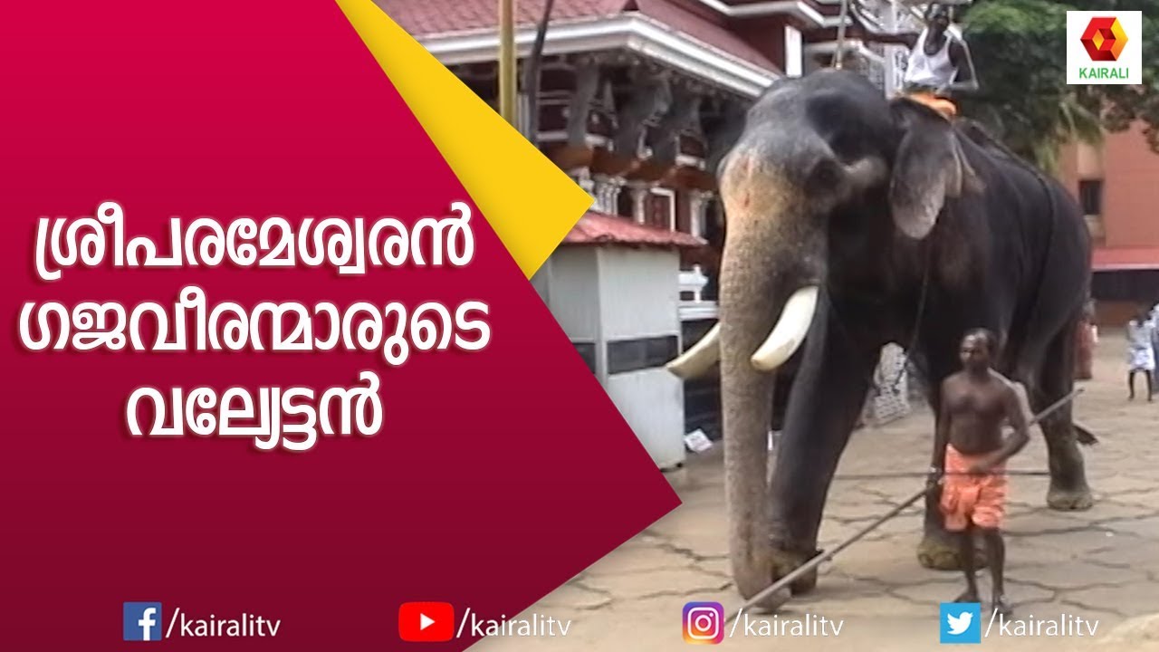 പൂരപ്പെരുമയുടെ പൊൻതിളക്കമായി പാറമേക്കാവ് ശ്രീ പരമേശ്വരൻ | Paramekkavu Sree Parameswaran | Kairali TV