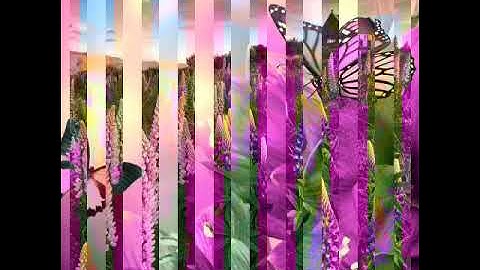 ما اصاب من مصيبة الا بإذن الله . من سورة التغابن .رعد الكردي .تلاوة هادئة خاشعة‬‎