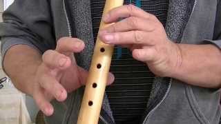 A Horse With No Name,  How to Play on the Native American Flute chords