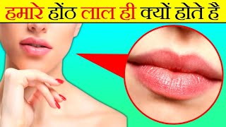 होठ लाल क्यों होते हैं? | Hoth Lal Kyon Hoten Hai | Most amazing facts |#facts#factsinhindi#factrond