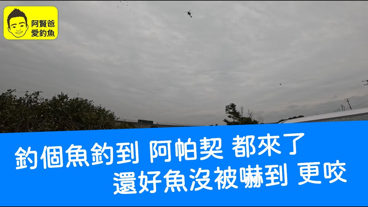 【阿賢爸】愛釣魚 Ep.537 釣個魚釣到 阿帕契 都來了 還好魚沒被嚇到 更咬