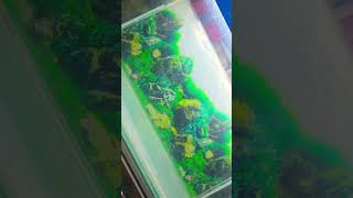 new ## tank ### for #### molly ####thankyou ## for ####watching