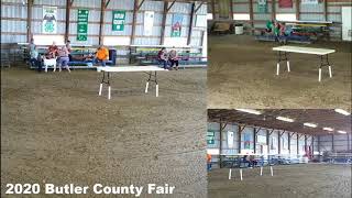 2020 Butler County Fair 4-H and FFA Pet Show
