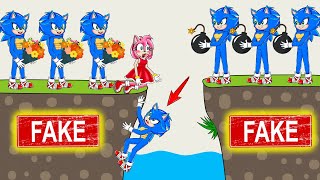 Amy! I'm your real Sonic! - Sonic's Crazy Story