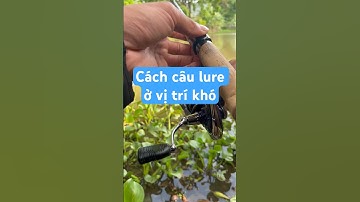 Hướng dẫn cách quăng mồi ở vị trí khó khi câu lure|câu cá lóc.! #caucaloc #cauca #caulure #fishing