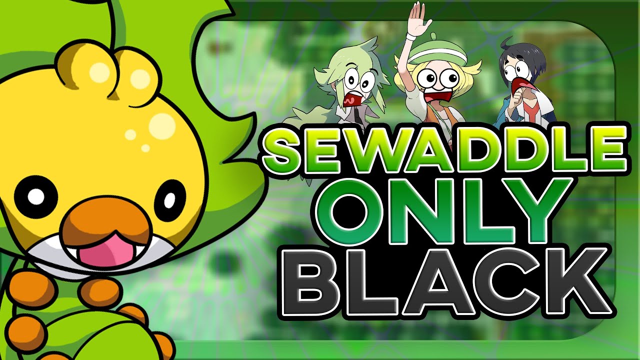 Destroying Pokemon Black With A Sewaddle! YouTube