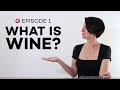 Wine Folly: What is Wine? (Ep. 1)