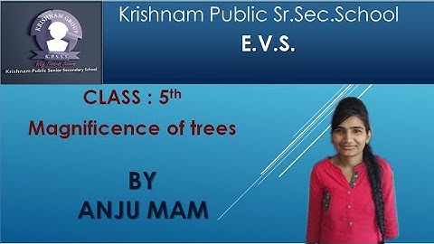 EVS for class 5 / topic Magnificence of trees