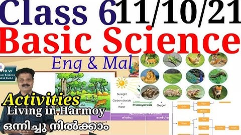 Class 6 Basic Science Worksheet 11/10/21|STD 6 Unit 6|Living in Harmony|Activities|Part 1|@educutz131