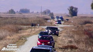 Sacramento National Wildlife Refuge auto tour &The Sutter Buttes mountain range