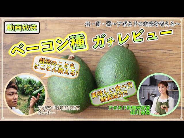アボカド「ベーコン種」の徹底レビュー！美味しい食べ方やベーコンの