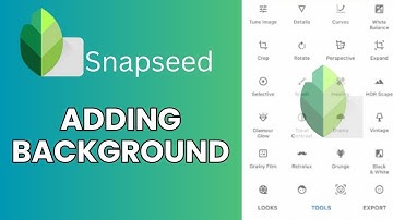 How to Add Background in Snapseed App 2024?