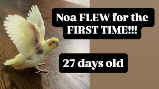 Noa’s First Time Flying!!!