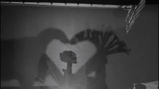 Shadow Dance - TNF Dallas 2023
