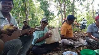 hiburan dangdut dalam gambus buton tengah