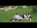 Ionut Nemes - Eu de mic de cand ma stiu 🐑 (Official Video) 🇷🇴