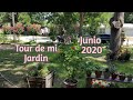 Tour de mi Jardin - Junio 2020 ☀️