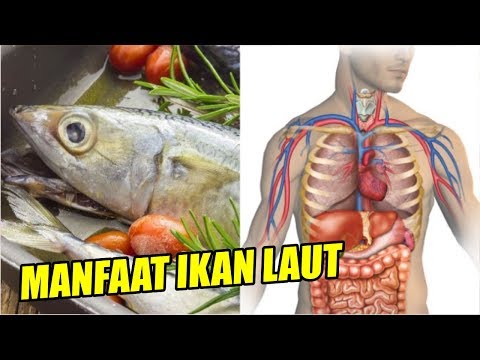 Video: Tentang Manfaat Ikan Dan Makanan Laut