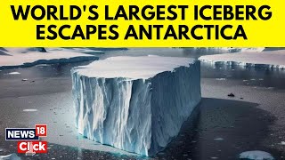 Climate Change | World's Largest Iceberg Escapes Antarctica, Heading Towards Open Ocean | N18V