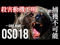 【怪物】家畜を真っ二つに・・・北海道史上最悪の連続牛食いヒグマ“OSO18”を一刻も早く捕獲しなければならない理由