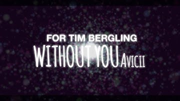 Avicii - Without You (Audio Visualizer)