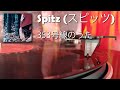 Spitz (スピッツ) - 353号線のうた (2021 Vinyl Rip)