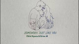 Somebody Just Like You Lyric Video