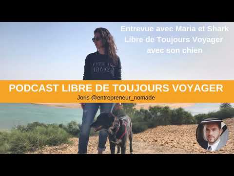 Vidéo: Les 3 clés du voyage international avec votre chien